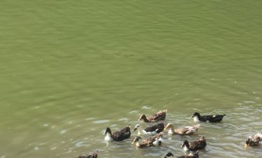 Authentic transformative experiences and tours in Armenia.