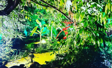 Private custom tours in Armenia, trip to Armenia