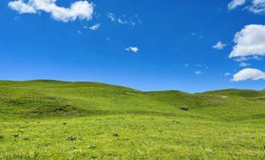 Nature of Lori, Debed canyon, private tour to Lori