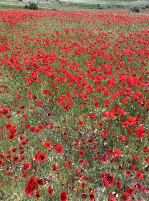 Trip to Lori, private tours to Lori