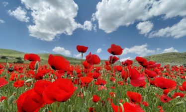 Nature oof Armenia tours