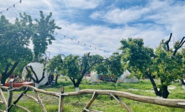 Piccnic in nature, Armenia