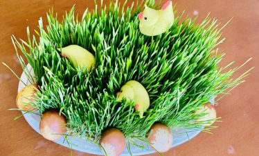 Food tours and food master classes in Armenia