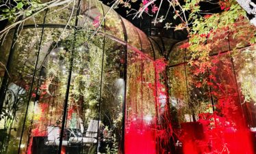 Most unique activities in Armenia