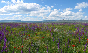 Off-Road Jeep Tour in Armenia