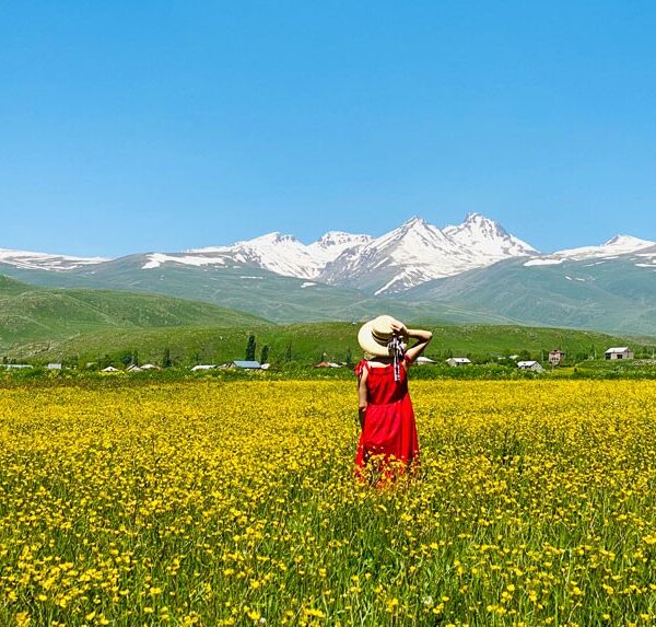 Aragats mountain private tour