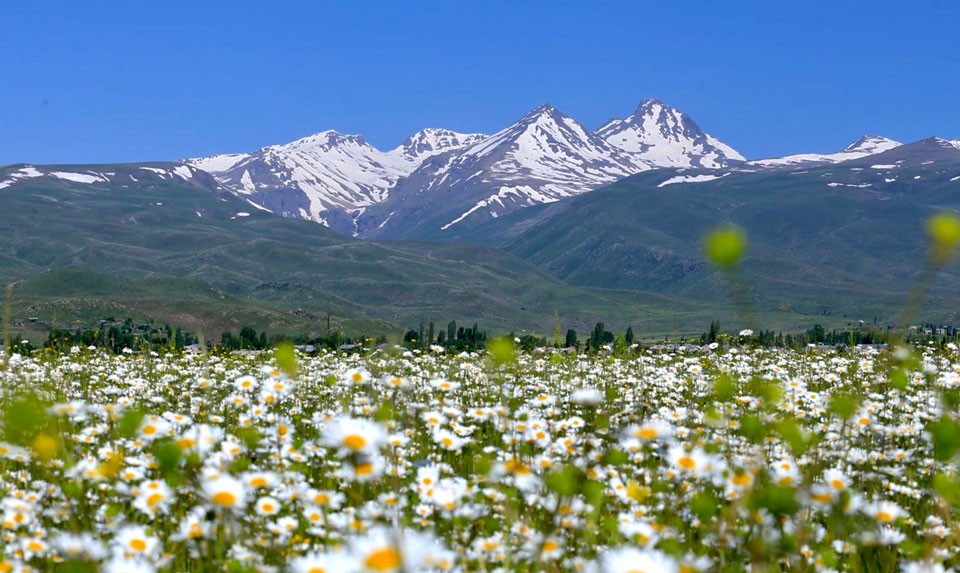Aragats mountain private tour